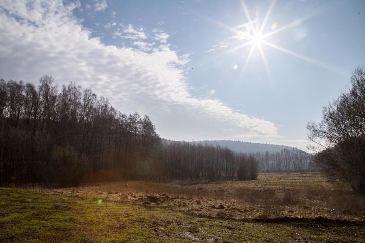 Domki Przystanek Drzewina Exteriér fotografie