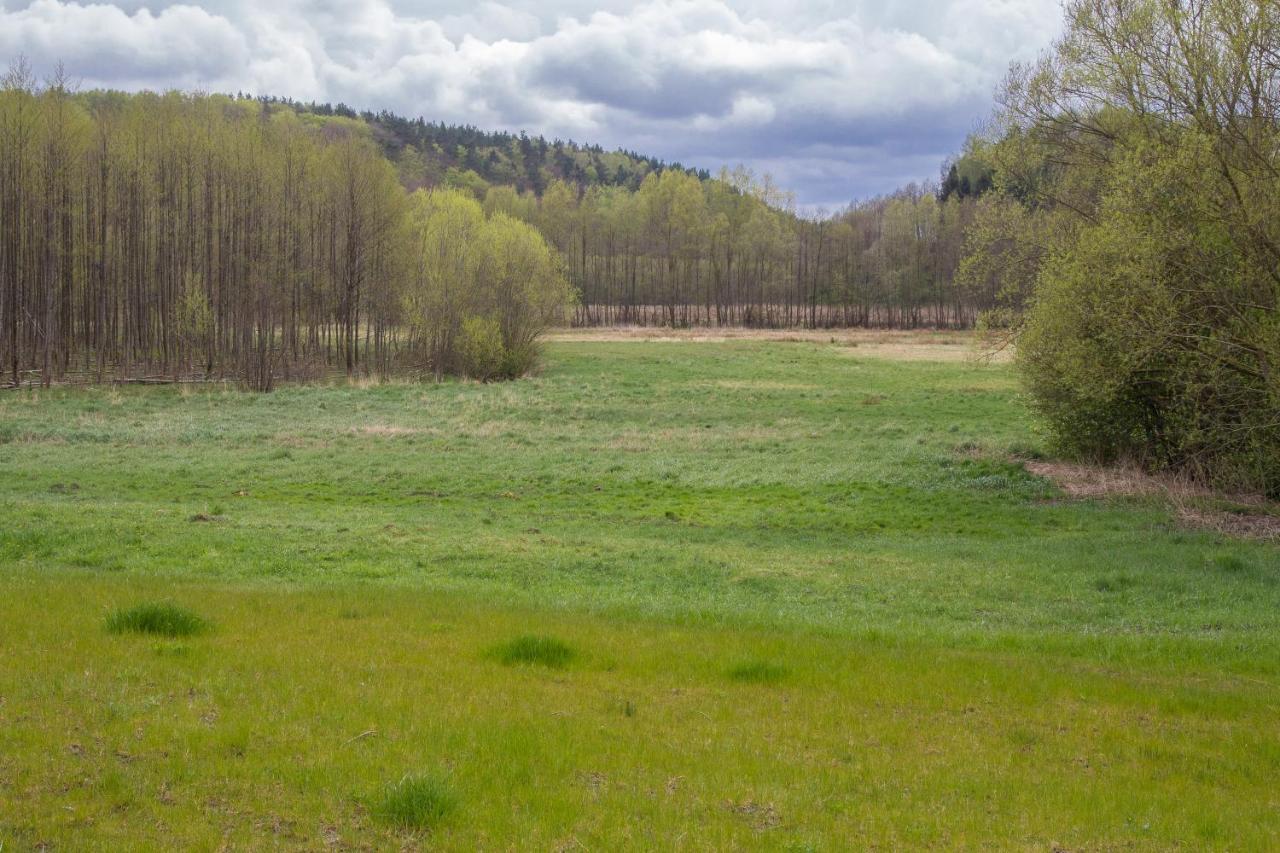 Domki Przystanek Drzewina Exteriér fotografie